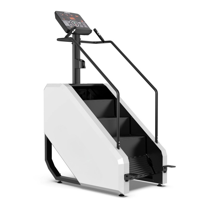 Mountaineer Stepper Home Aerob - đánh giá và giá Home Gym Equipment Diy