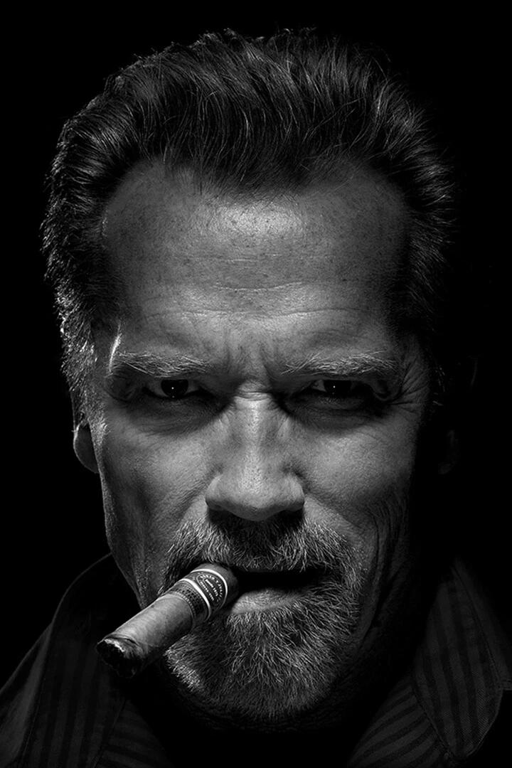 Arnold Schwarzenegger Bodybuil - đánh giá và giá Home Gym Quotes