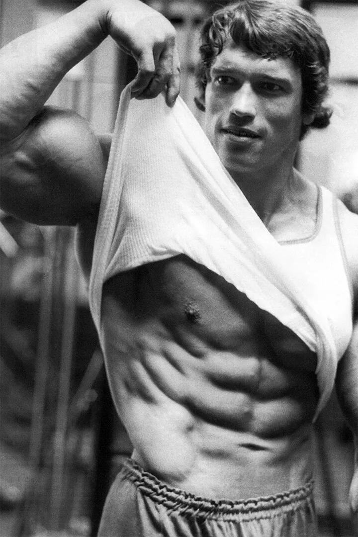 Arnold Schwarzenegger Bodybuil - đánh giá và giá Home Gym Quotes