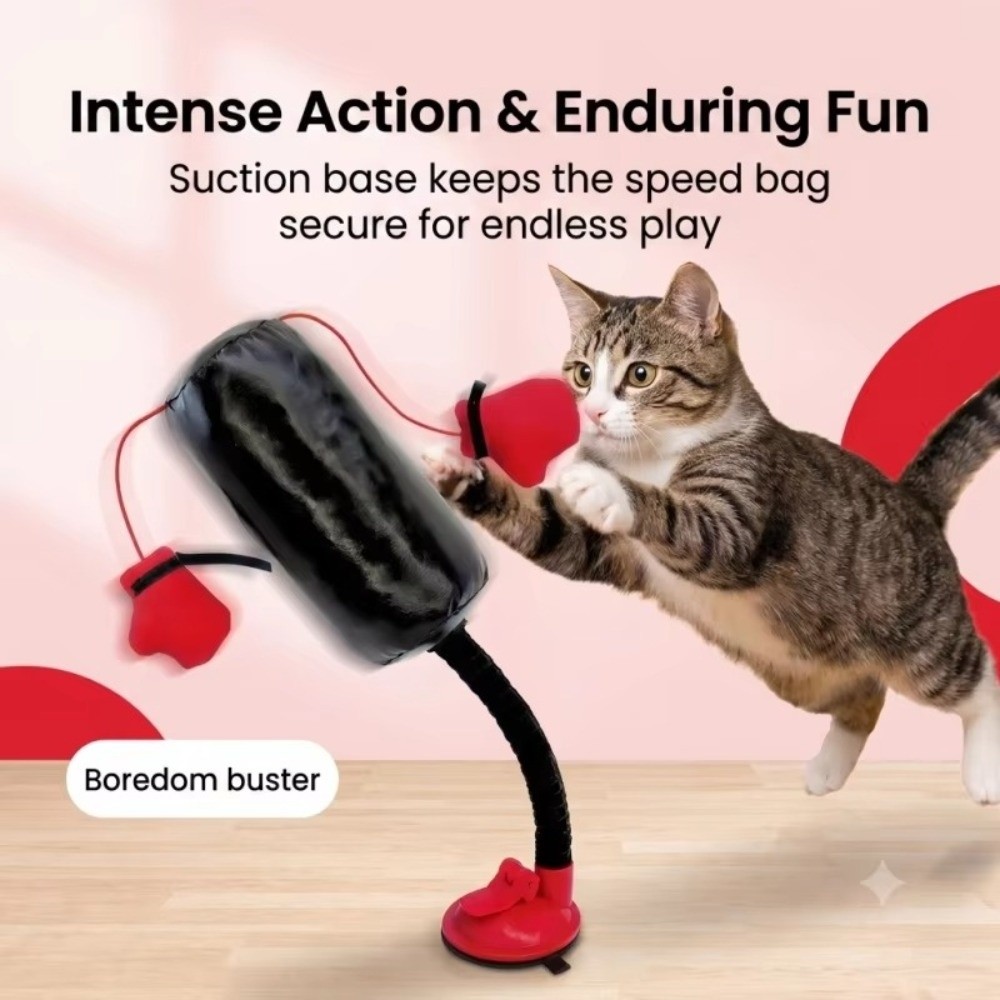 Suction Cup Base Cat Boxing To - đánh giá và giá Boxing Bag Stand
