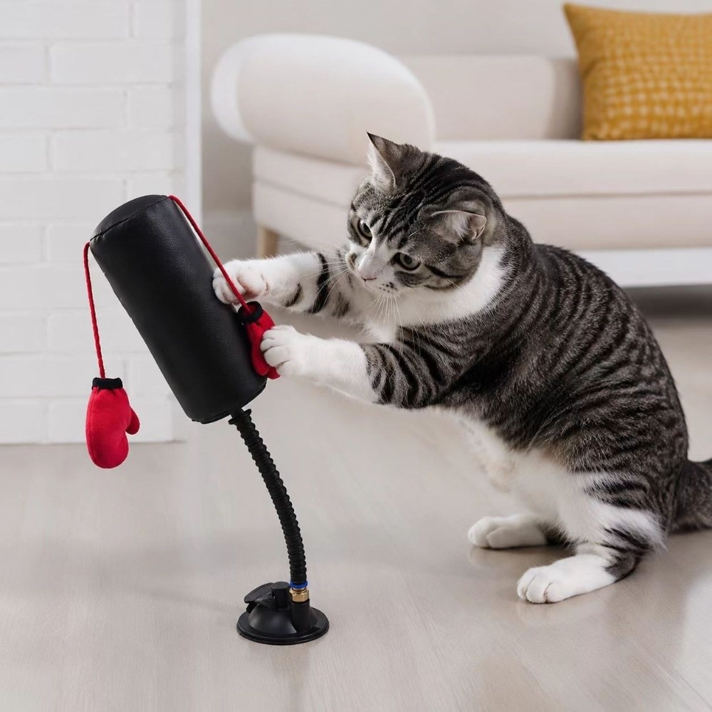 Suction Cup Cat Boxing Self-st - đánh giá và giá Boxing Bag Stand