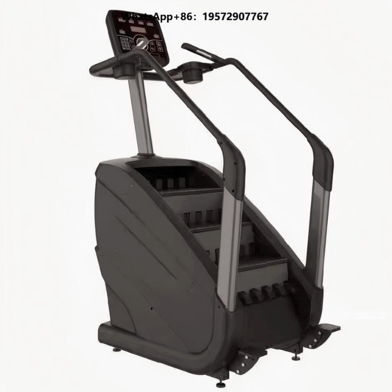 Commercial Cardio Equipment Fi - đánh giá và giá Home Gym Body Master