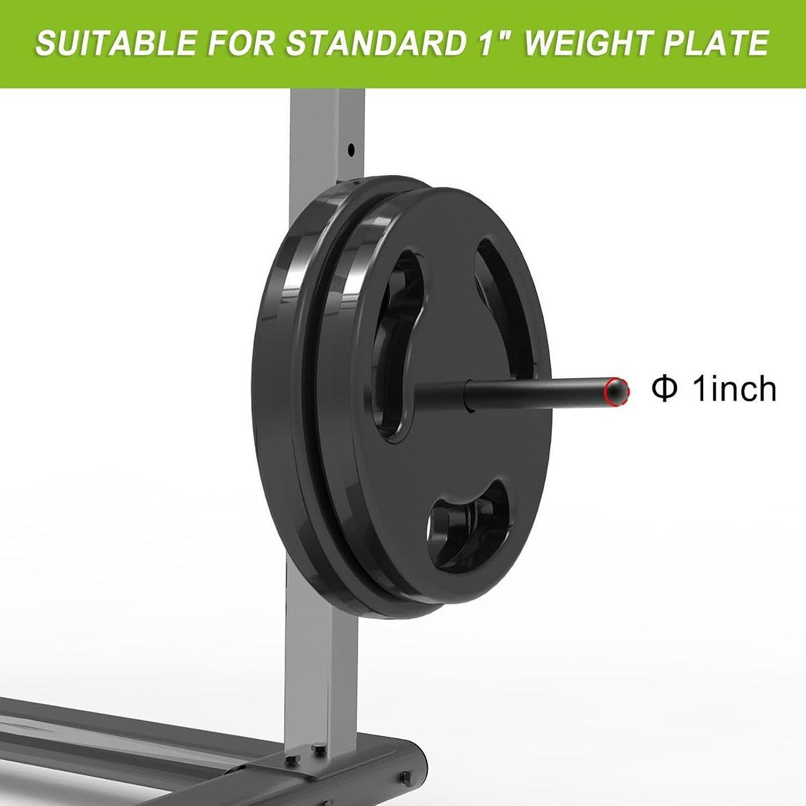 Space Saving Barbell Plate Han - đánh giá và giá Home Gym Youtube