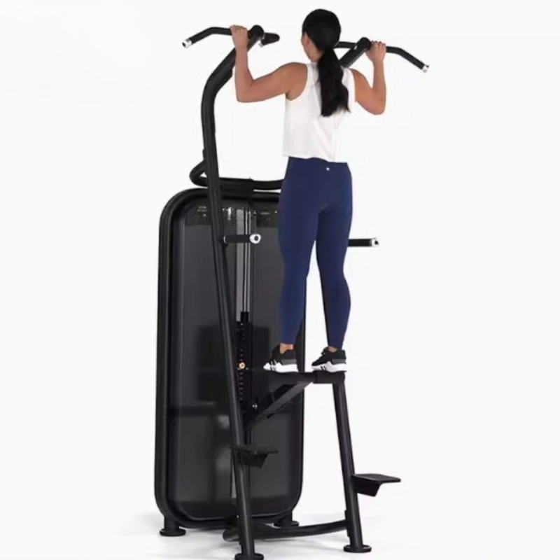 Assisted pull-up parallel bar  - đánh giá và giá Home Gym Equipment Diy