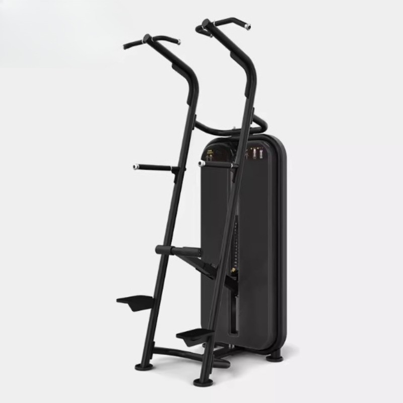 Assisted pull-up parallel bar  - đánh giá và giá Home Gym Equipment Diy