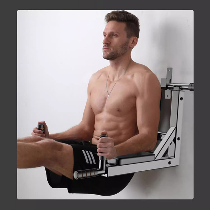 Wall Mounted Pull Up Bar, Heav - đánh giá và giá Home Gym Luxury