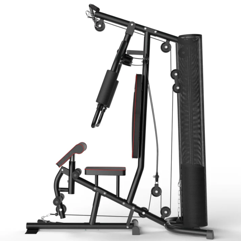 Safe Multifunctional All-in-On - đánh giá và giá Home Gym One Machine