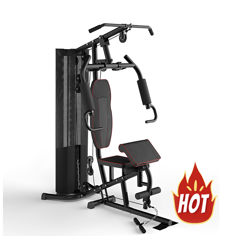 Safe Multifunctional All-in-On - đánh giá và giá Home Gym One Machine